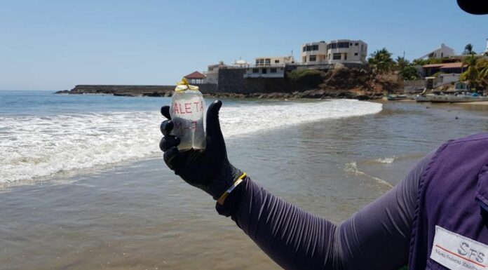 Analiza Cofepris calidad de playas previo a Semana Santa