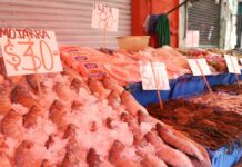 Permitirán mil 700 comerciantes por Semana Santa Comerciantes