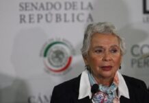 Apoyo a Ucrania no será con armas: Sánchez Cordero