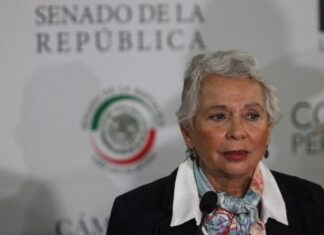 Apoyo a Ucrania no será con armas: Sánchez Cordero