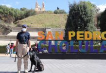 Habrá 200 policías por actividades del equinoccio en Cholula Equinoccio