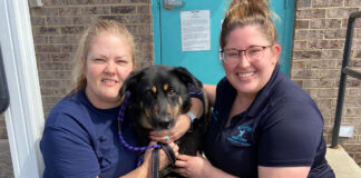 Familia de EU abandona a su perro… creían que era gay Gracias a que su historia se volvió viral, Fezco encontró una familia rápidamente.