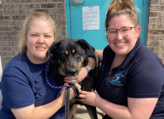 Familia de EU abandona a su perro… creían que era gay Gracias a que su historia se volvió viral, Fezco encontró una familia rápidamente.