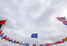 Hackers rusos intentaron atacar redes de la OTAN: Google Hackers rusos intentaron penetrar recientemente en las redes de la OTAN y de los ejércitos de algunos países de Europa del Este.