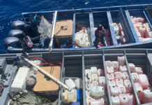 Huachicoleros transportaban 4 mil litros de combustible en lanchas Los 6presuntos huachicoleros, el combustible y las embarcaciones fueron puestos a disposición de la FGR. Foto: Semar