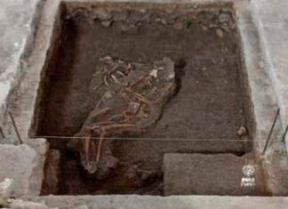 Hallan restos de la invasión francesa en Puebla San Javier