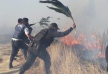 Controla PC incendio en cerro Zapotecas Incendio