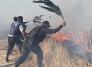 Controla PC incendio en cerro Zapotecas Incendio