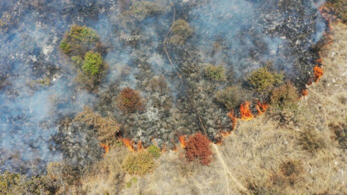 incendio