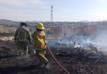 Incendio consume una hectárea en terreno de Chautla Elementos de Protección Civil y Bomberos del Estado sofocaron y mitigaron riesgos por un incendio en Santo Tomás Chautla.