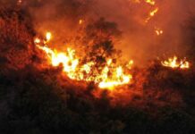 Puebla suma 46 incendios forestales en dos semanas Incendios