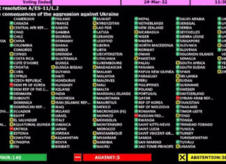ONU aprueba moción de México y Francia para cese a la guerra ONU México Francia