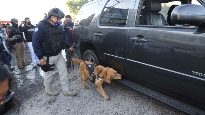 operativo Operativo
