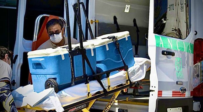 Logra IMSS Puebla donación de órganos para 6 personas órganos