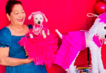 Celebran XV años a perrita ¡Hasta con vestido! perrita XV años