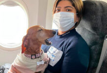 Mujer en Ucrania viaja con su perrita de regreso a México perrita