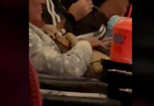 Perrito entra de contrabando al cine para ver ‘The Batman’ batman