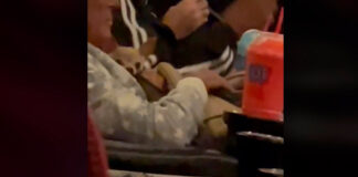 Perrito entra de contrabando al cine para ver ‘The Batman’ batman