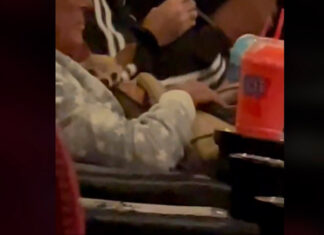 Perrito entra de contrabando al cine para ver ‘The Batman’ batman