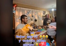 ¡Checa! Así fue el “cumpleaños” viral de sus perrhijos perrhijos