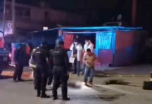 Hombre pierde la vida por ataque de pitbull en Xicotepec Pitbull