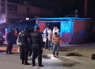 Hombre pierde la vida por ataque de pitbull en Xicotepec Pitbull