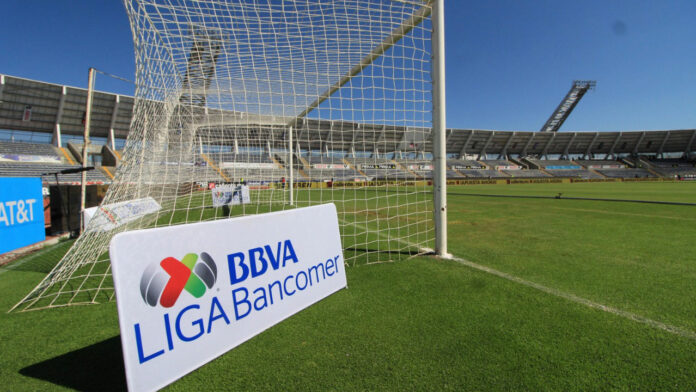 porra El líder de la porra familiar del equipo universitario señaló que lo sucedido en el Estadio Corregidora es imperdonable