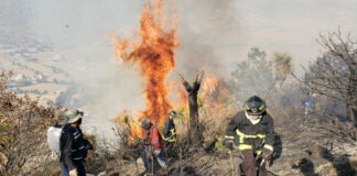 Acumula Puebla 44 incendios forestales en 2022 Los incendios forestales ocurridos en Puebla causaron afectaciones en 407.3 hectáreas y la entidad es la tercera entidad con más incendios.