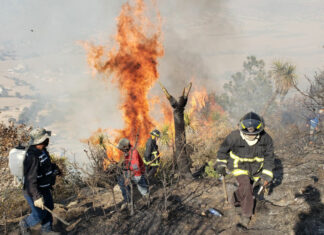 Puebla suma 255 incendios forestales en 2022 Los incendios forestales ocurridos en Puebla causaron afectaciones en 407.3 hectáreas y la entidad es la tercera entidad con más incendios.