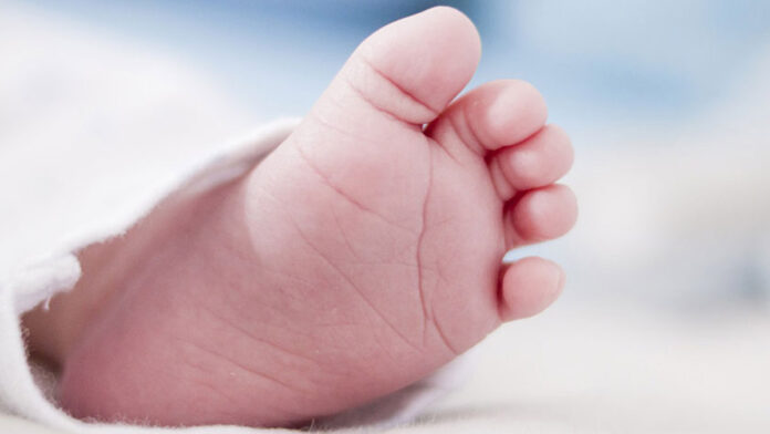 recién La madre comentó que el padre de la recién nacida -en complicidad con una segunda persona- acudió a su casa para sustraerla.