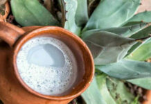 Feria del Pulque en Puebla: conoce horarios y sede
