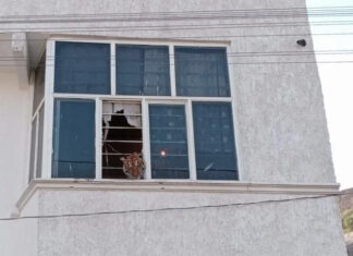 Rescata Profepa a un tigre de una vivienda en Edomex