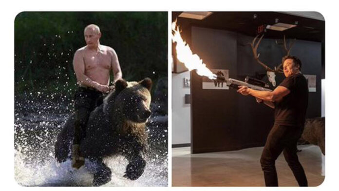 tiro ¿Hay tiro? Elon Musk desafió al presidente ruso Vladimir Putin, a un "combate" cuerpo a cuerpo. ¿El premio? Ucrania.