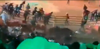 Toro hiere a 15 asistentes en jaripeo en Morelia toro