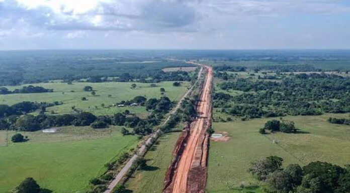 Acusan pueblos indígenas no ser tomados en cuenta en el Tren Maya Desde que se planteó el Tren Maya, ha habido un gran cuestionamiento por toda la infraestructura que conlleva.