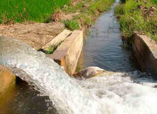 Hidalgo destinará 3 mil litros de agua por segundo al AIFA