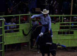 Toro causa terror en jaripeo de Chietla (VIDEO) Un toro escapó de un corral para embestir a los asistentes que disfrutaban de un jaripeo en la localidad de Viborillas de Hidalgo,. Foto: EsImagen // Ilustrativa