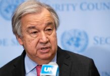 Gobiernos y empresas mienten en sus compromisos ambientales: ONU
