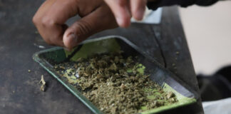 Barbosa, a favor del uso medicinal de la marihuana El gobernador Miguel Barbosa Huerta opinó que se debe seguir debatiendo el tema hasta encontrar un equilibrio.