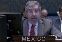 México busca limitar veto en Consejo de Seguridad de la ONU México ONU Juan Ramón de la Fuente