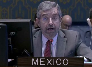 México busca limitar veto en Consejo de Seguridad de la ONU México ONU Juan Ramón de la Fuente