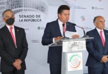 Comparecerán Semarnat, Profepa y Fonatur por Tren Maya Comparecencia