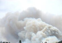 Reportan incendio forestal en Coahuila Incendio