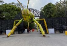 Insectos invaden el Bosque de Chapultepec con Festival INSECTA Este programa permite a los visitantes generar conciencia sobre la importancia de los insectos en la vida social.