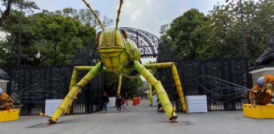 Este programa permite a los visitantes generar conciencia sobre la importancia de los insectos en la vida social.