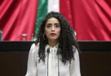 Diputada del PRD se deslinda de Paolo Salerno en discusión de reforma eléctrica
