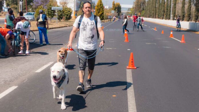 Recreativa