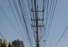 Rechazo a Reforma Eléctrica frenó desastre económico Reforma