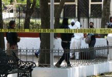 Hallan restos humanos embolsados en Parque de las Ninfas Restos