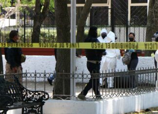 Hallan restos humanos embolsados en Parque de las Ninfas Restos